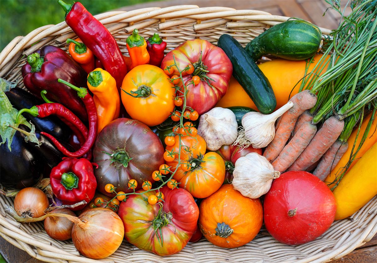 Korb mit frischem Gemüse aus unserem Garten