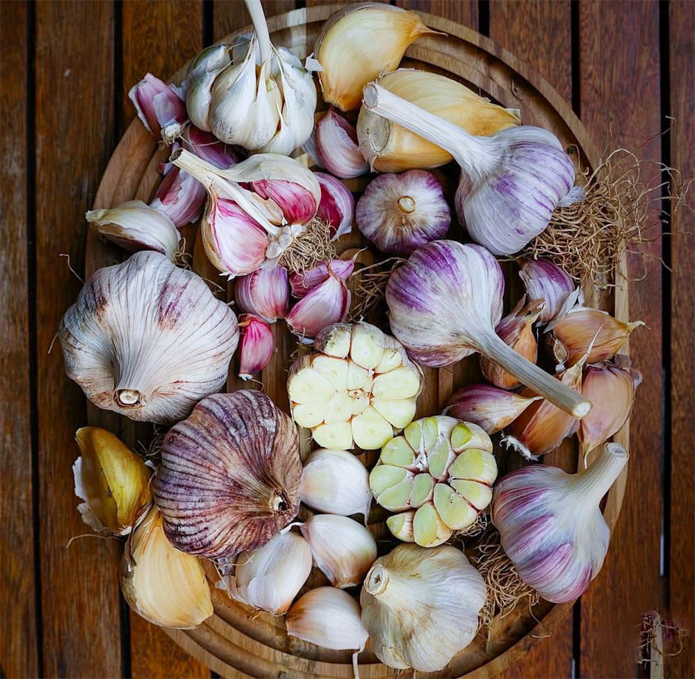 Schale mit verschiedenen Knoblauchsorten